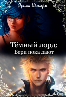 Тёмный лорд: Бери пока дают читать онлайн