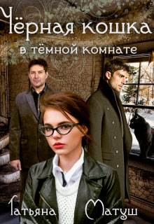 Черная кошка в темной комнате читать онлайн