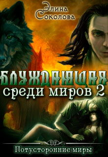Блуждающая среди миров. Книга 2 читать онлайн