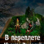 В переплете Книги Знаний читать онлайн