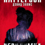 Невидимка. Идеальные убийства читать онлайн