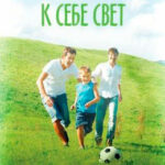 Пусти к себе свет читать онлайн