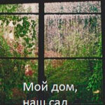 Мой дом
