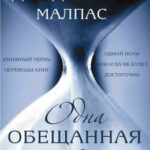 Одна обещанная ночь читать онлайн