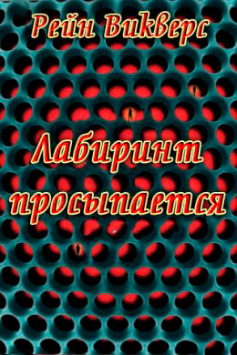 Лабиринт просыпается читать онлайн