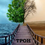 Трон Знания. Книга 1 читать онлайн