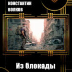 Из блокады читать онлайн