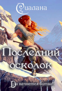 Последний осколок читать онлайн