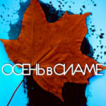 Осень в Сиаме читать онлайн