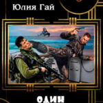 Один за двоих читать онлайн