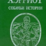 Собачьи истории