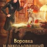 Воровка и заколдованный кот
