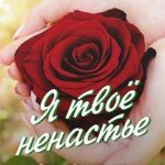 Я твое ненастье