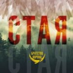 Стая