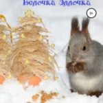 Белочка Эллочка