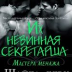 Их невинная секретарша