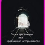Сорок три минуты, или Кратчайшая история любви