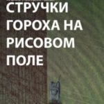 Стручки гороха на рисовом поле