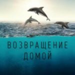 Возвращение домой