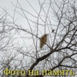 Фото на память