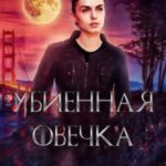 Книжный магазин-Бар «Убиенная Овечка»