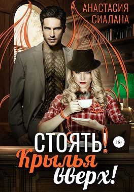 Стоять! Крылья вверх! читать онлайн