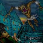 Чародей из Серого замка