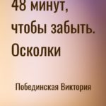 48 минут, чтобы забыть. Осколки