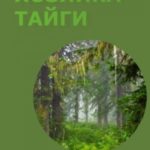 Хозяйка тайги
