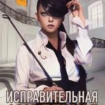 Исправительная академия