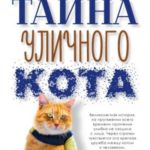 Тайна уличного кота