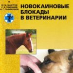 Новокаиновые блокады в ветеринарии