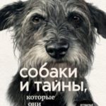 Собаки и тайны, которые они скрывают