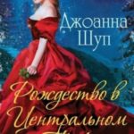 Рождество в Центральном парке