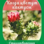 Когда цветут кактусы