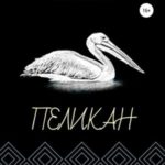 Пеликан