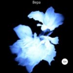 Темный Цветок. Вера