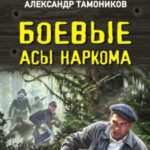 Боевые асы наркома
