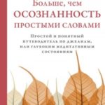 Больше, чем осознанность простыми словами. Простой и понятный путеводитель по джханам, или глубоким ...