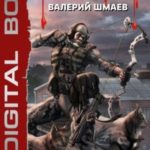 S-T-I-K-S. Лучник 2 (кваз)