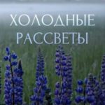 Холодные рассветы