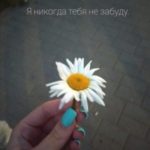 Я никогда тебя не забуду