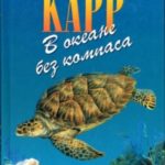 В океане без компаса