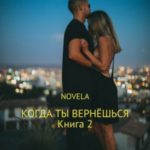 Когда ты вернешься. Книга 2