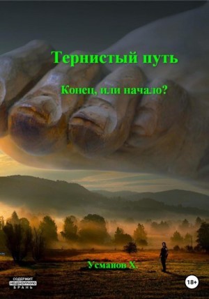 Тернистый путь. Конец или начало? читать онлайн