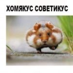 Хомякус советикус - 2