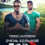 Очень большой торт