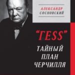 «ГESS». Тайный план Черчилля