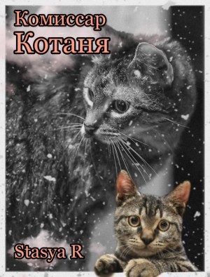 Комиссар Котаня читать онлайн
