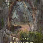 По воле случая